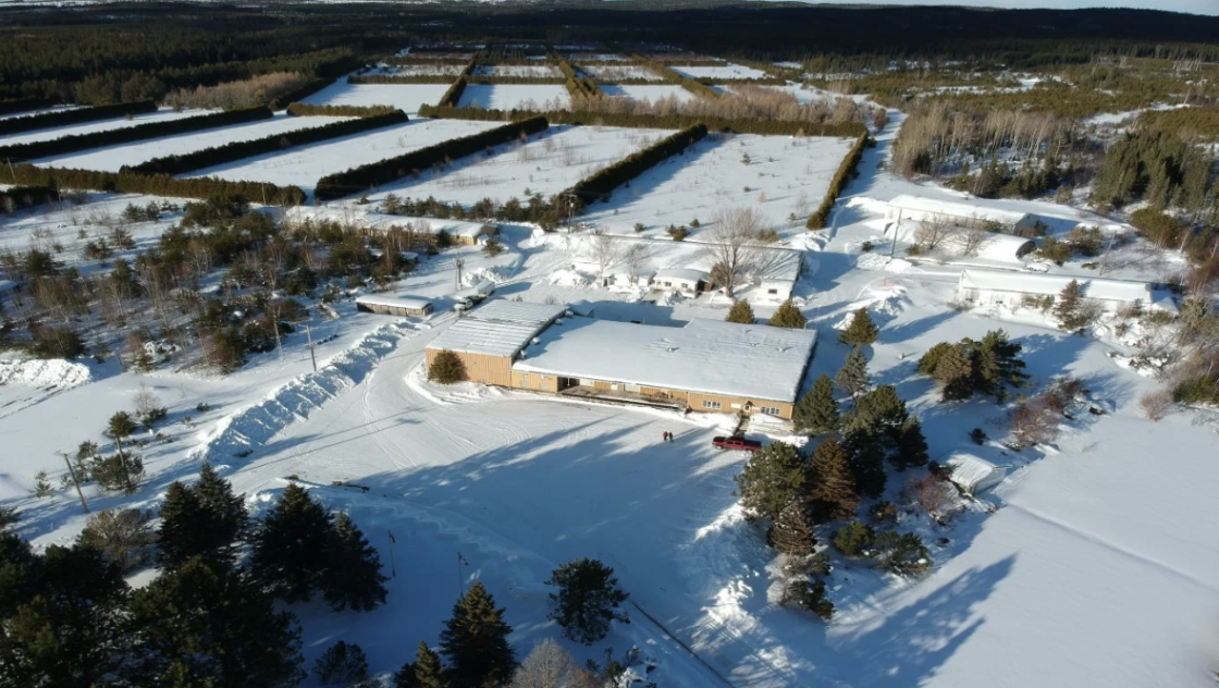 Goliath gold project